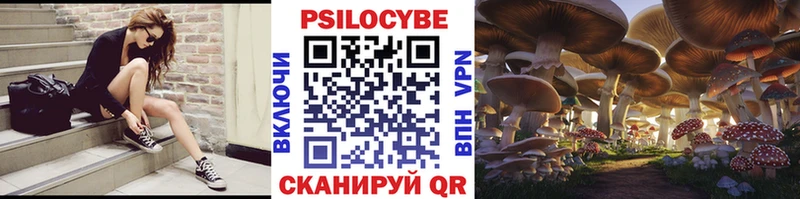 Галлюциногенные грибы прущие грибы  Борзя 